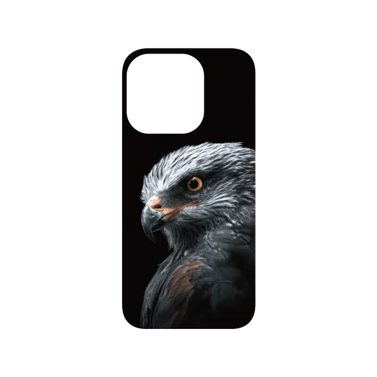 image-preview-3