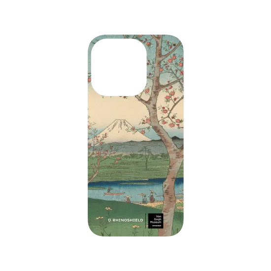 image-preview-3