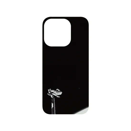 image-preview-3