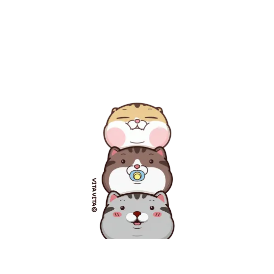 image-preview-3