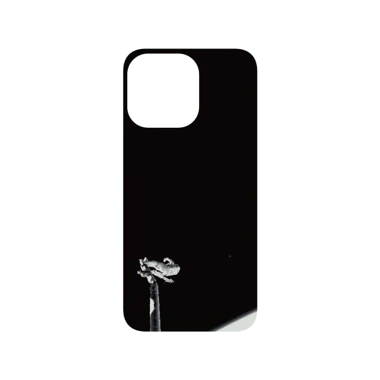 image-preview-3
