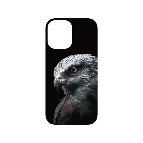 image-preview-4