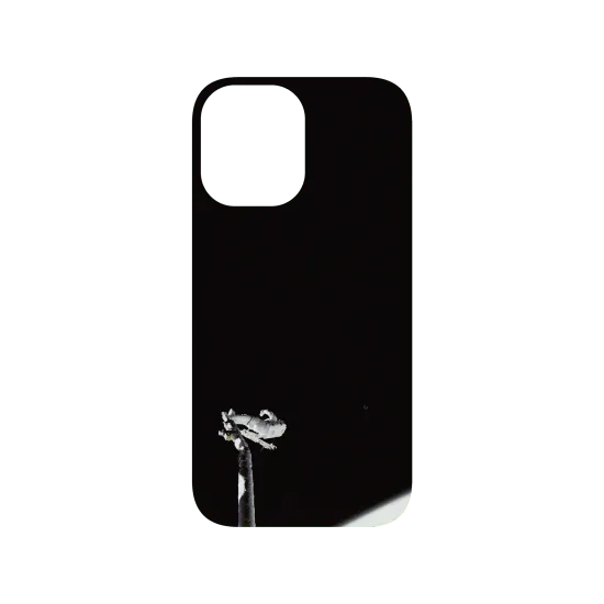 image-preview-4