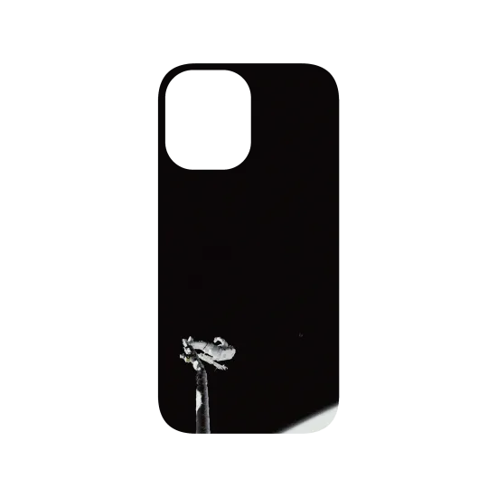 image-preview-4