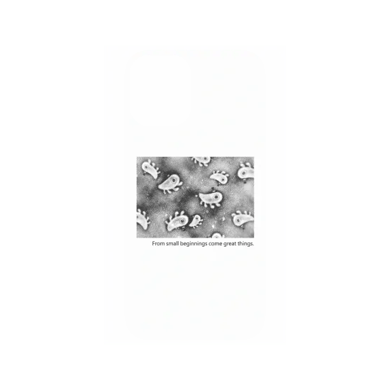 image-preview-4