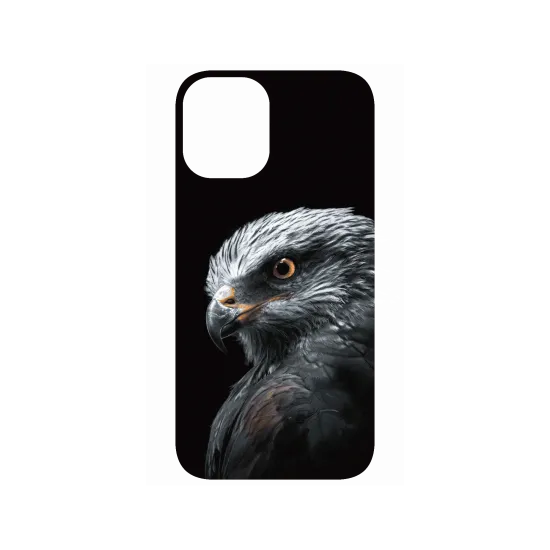 image-preview-4
