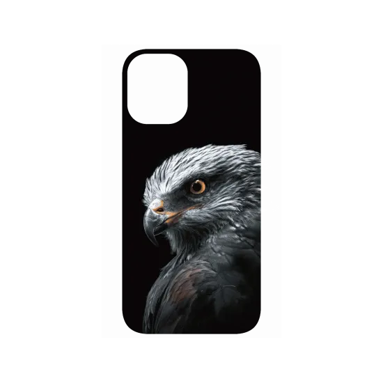 image-preview-4