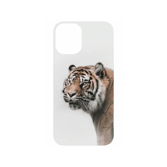 image-preview-4