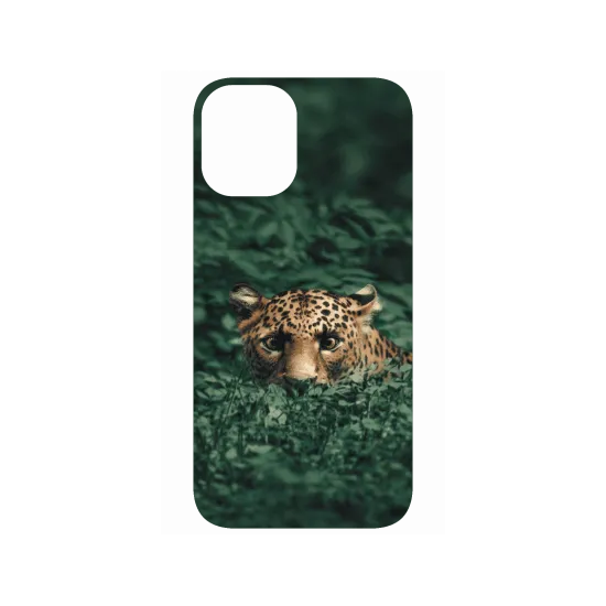 image-preview-4