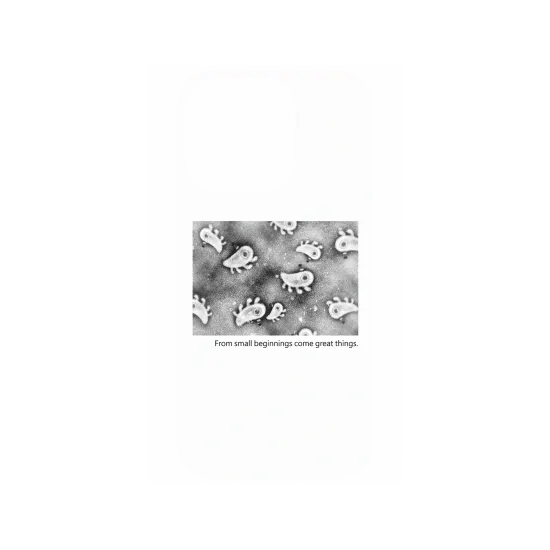image-preview-4