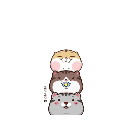 image-preview-4