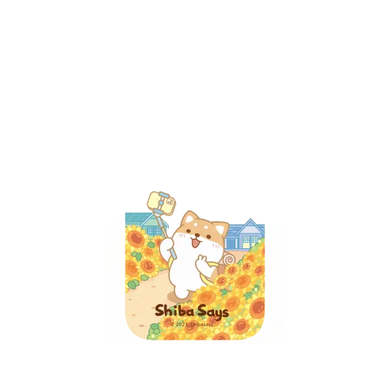 image-preview-4