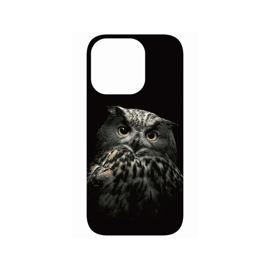 image-preview-4