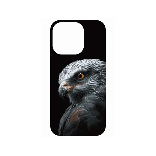 image-preview-4