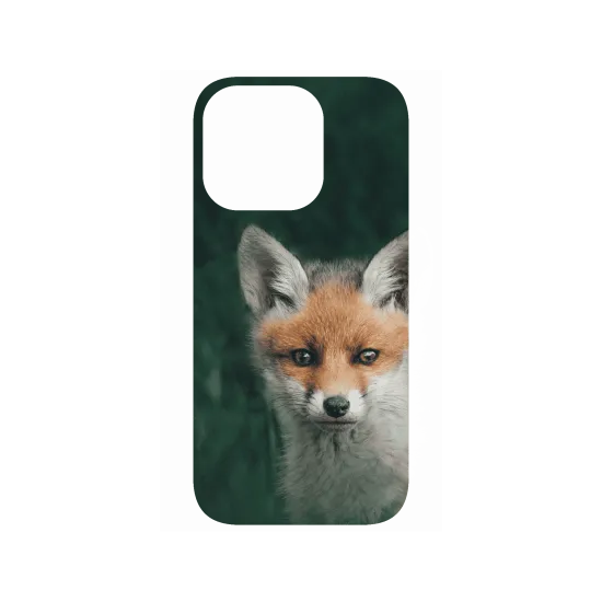 image-preview-4