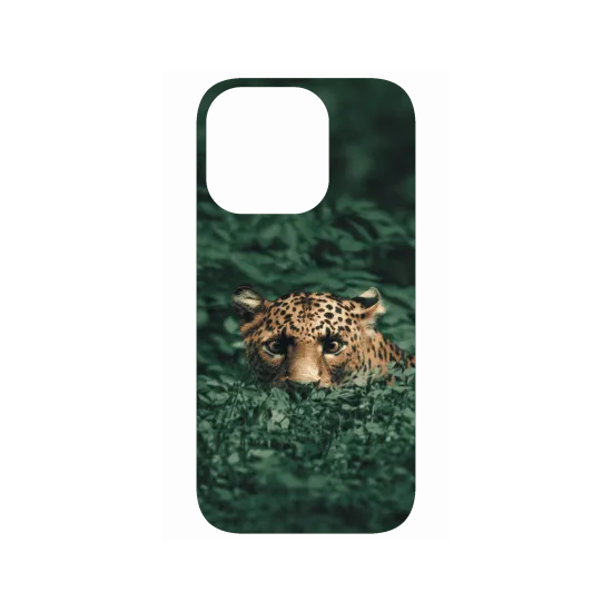image-preview-4