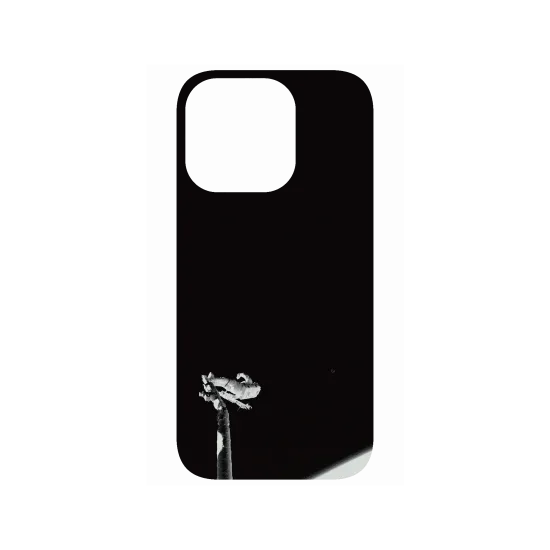 image-preview-4