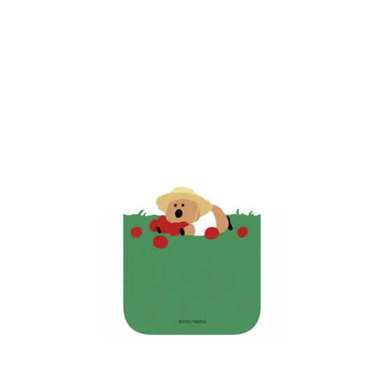 image-preview-4