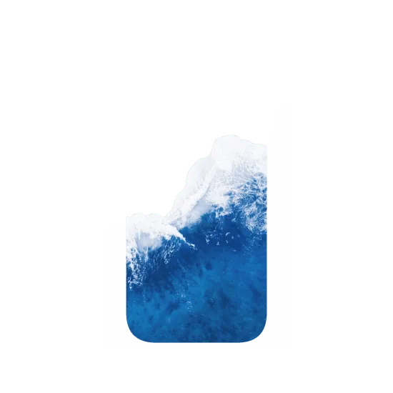 image-preview-4
