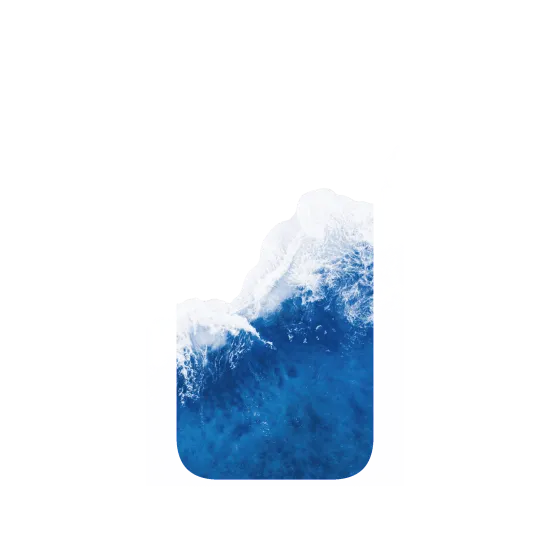 image-preview-4