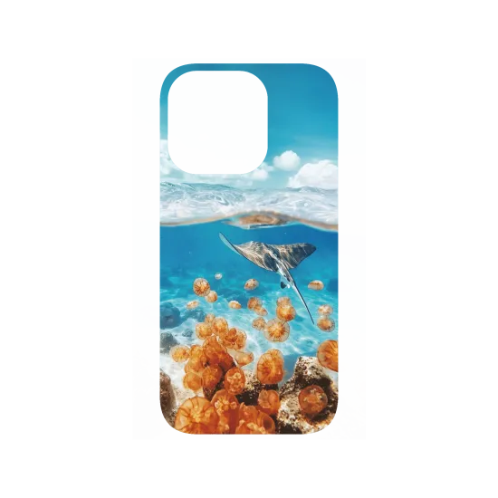 image-preview-4