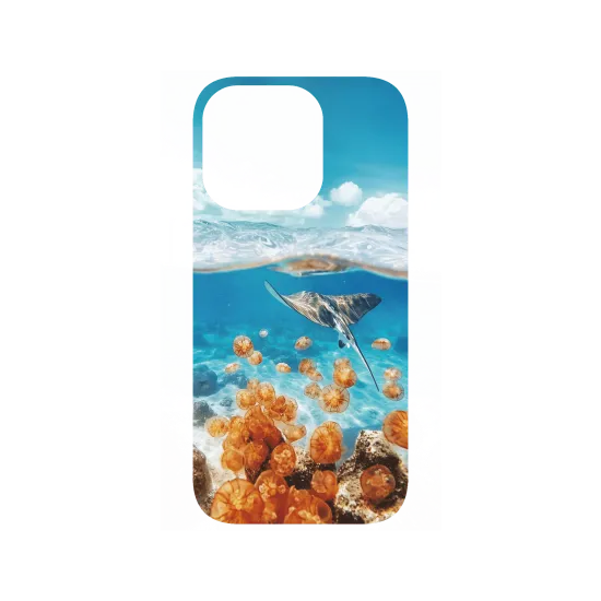image-preview-4