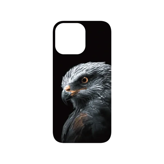 image-preview-4