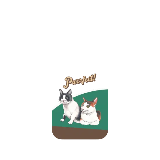 image-preview-4