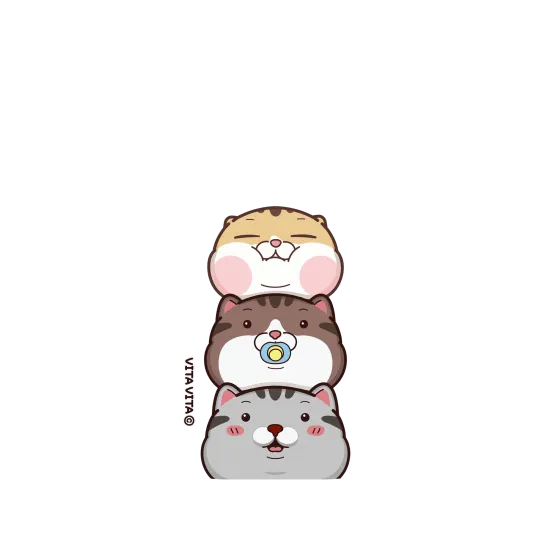 image-preview-4