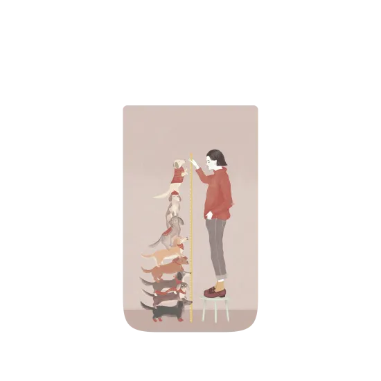 image-preview-4