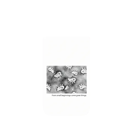 image-preview-4