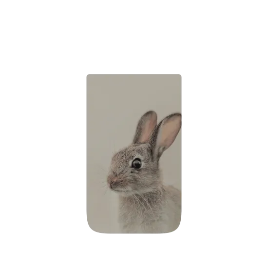 image-preview-4