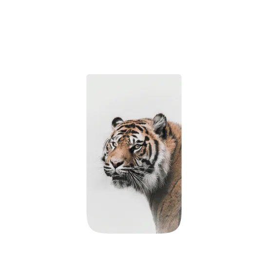 image-preview-4