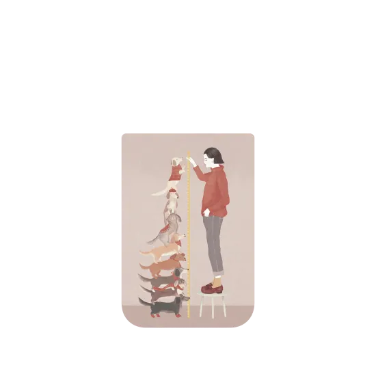 image-preview-4