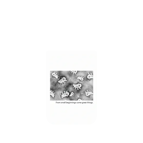 image-preview-4