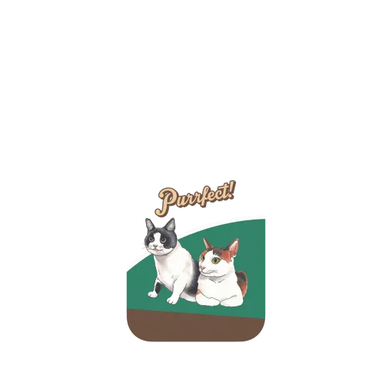 image-preview-4