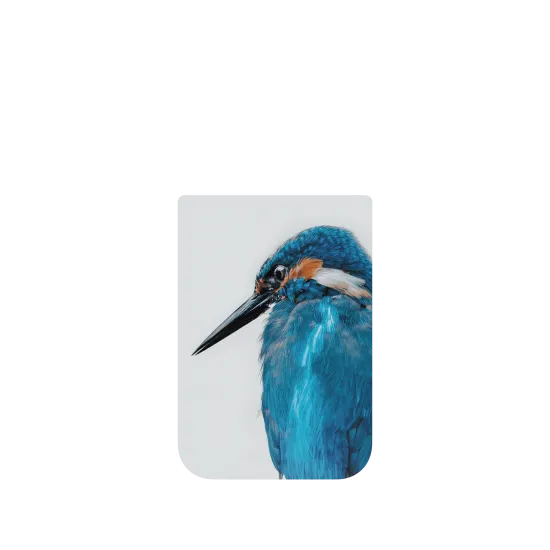 image-preview-4