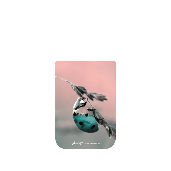 image-preview-4