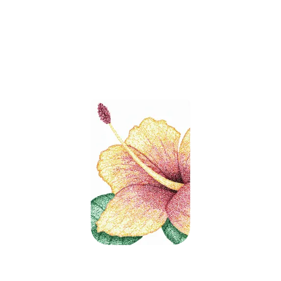 image-preview-4