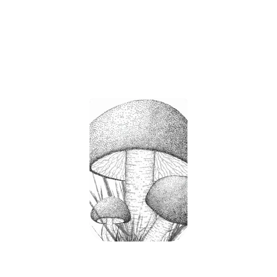 image-preview-4