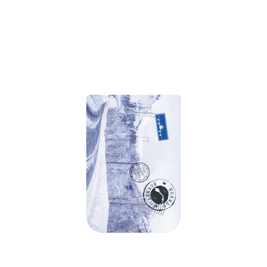 image-preview-4
