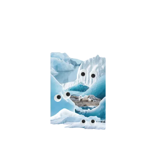 image-preview-4