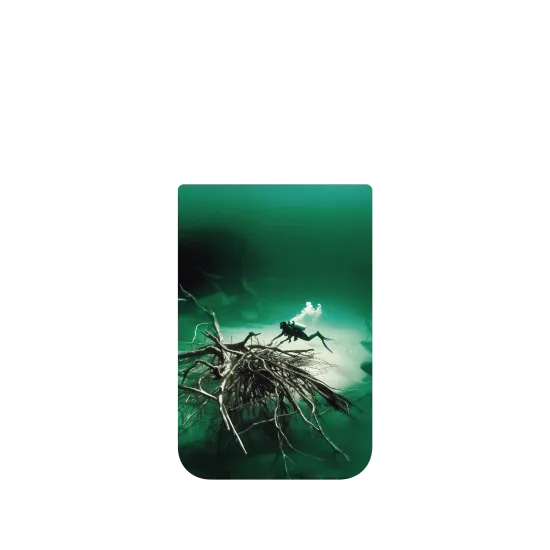 image-preview-4