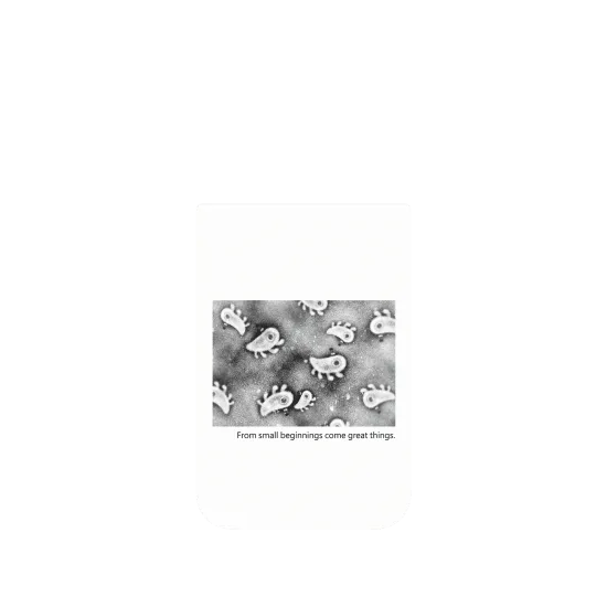 image-preview-4