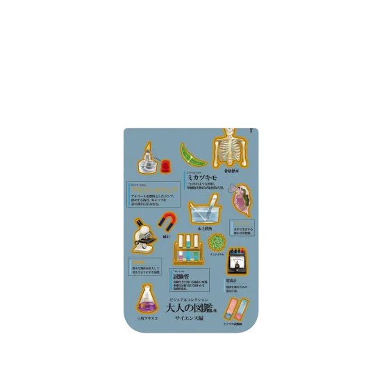 image-preview-4