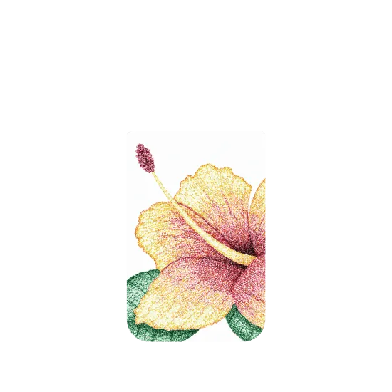 image-preview-4