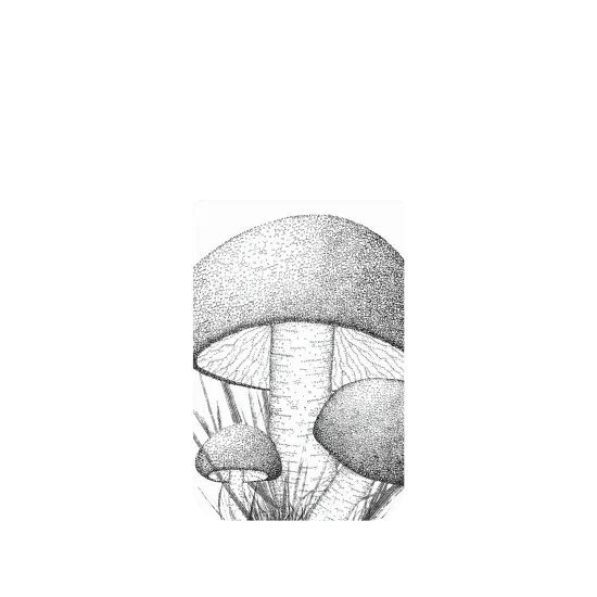 image-preview-4