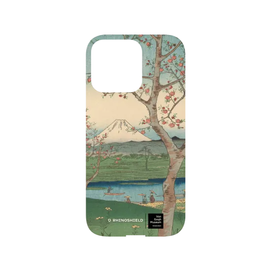 image-preview-3