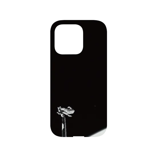 image-preview-3