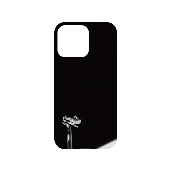 image-preview-3